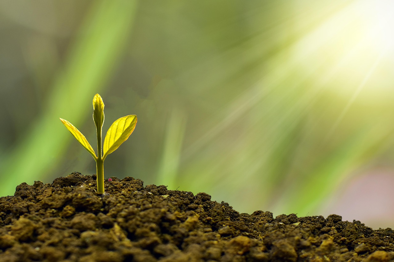 découvrez les clés du succès entrepreneurial : conseils, stratégies et témoignages pour développer votre entreprise et atteindre vos objectifs professionnels.
