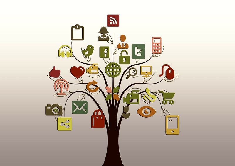 Comment transformer son réseau en véritable levier d’opportunités ?