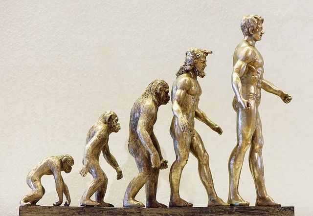 Sourcing définition : comprendre le processus et ses enjeux en 2025