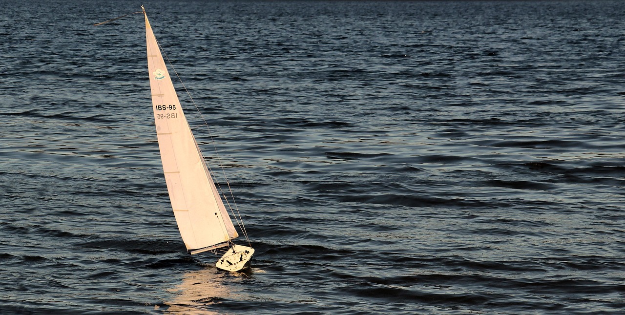 découvrez des conseils pratiques et des stratégies efficaces pour renforcer la motivation au sein d'une équipe à distance et booster la productivité collective.